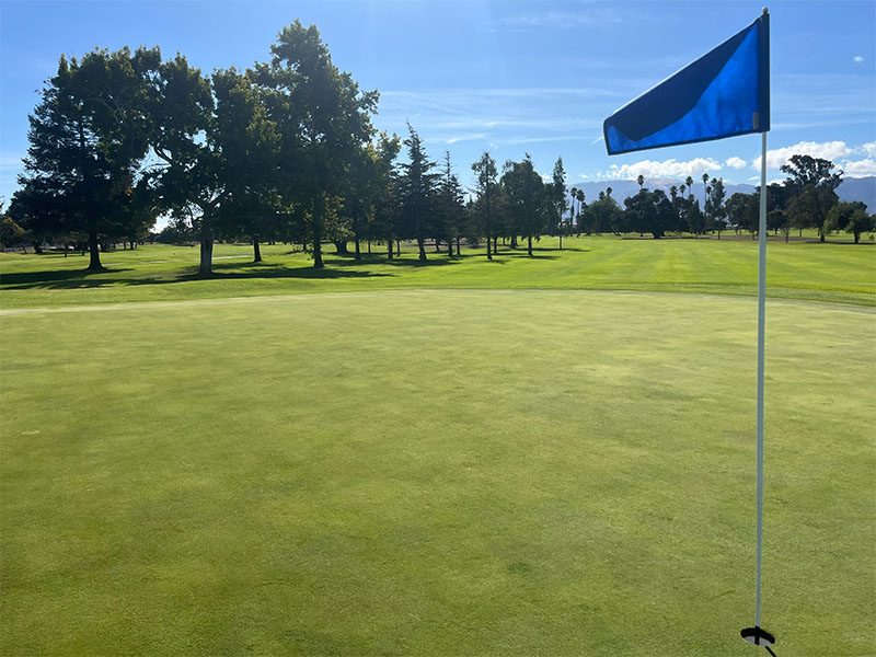 Blue flag on a golf green overlooking a sunny tree-lined fairway at Salinas Fairways Golf Course.