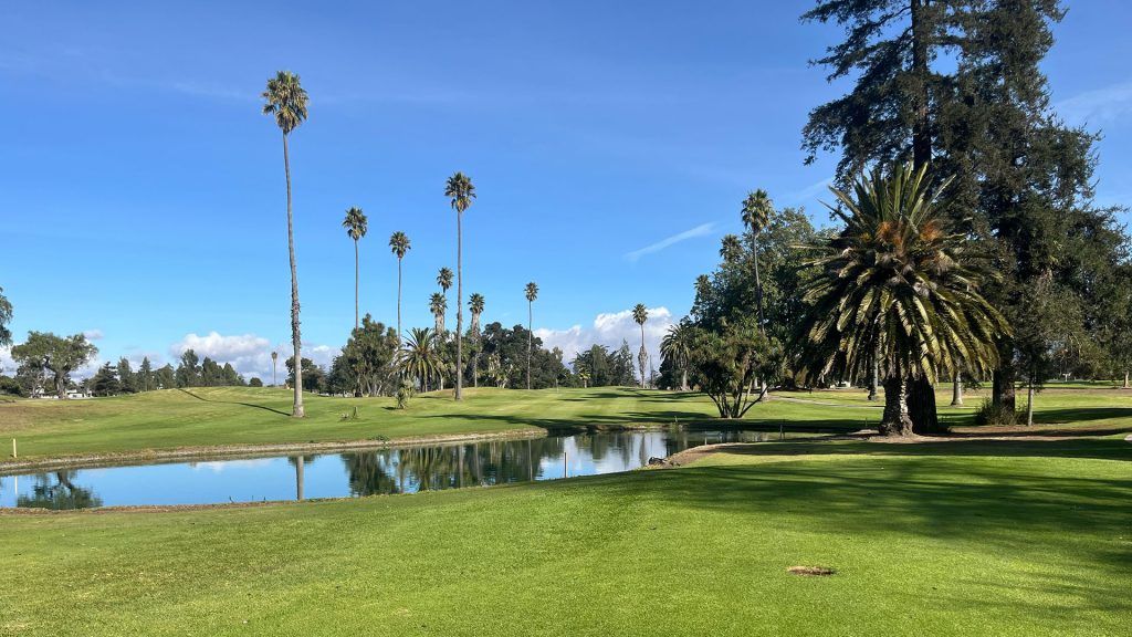 Scenic golf hole with a pond, tall palm trees, and lush fairway at Salinas Fairways Golf Course.