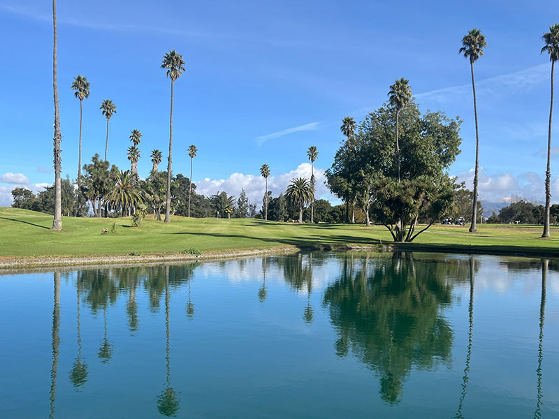 Pond reflecting tall palm trees beside a lush fairway at Salinas Fairways Golf Course.