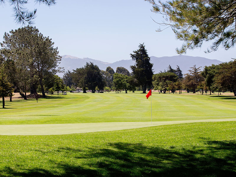 Red flag on a manicured golf green with a tree-lined fairway and mountains in the distance.