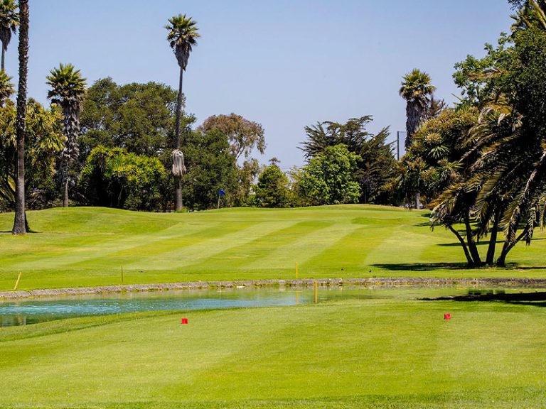 Golf hole with a pond, striped fairway, palm trees, and lush landscaping at Salinas Fairways Golf Course.